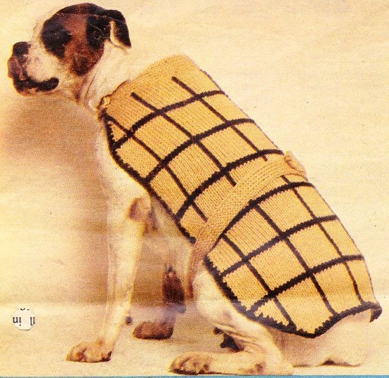 DOG COAT Boxer or Large dog / quick knit COPY dog coat knitting