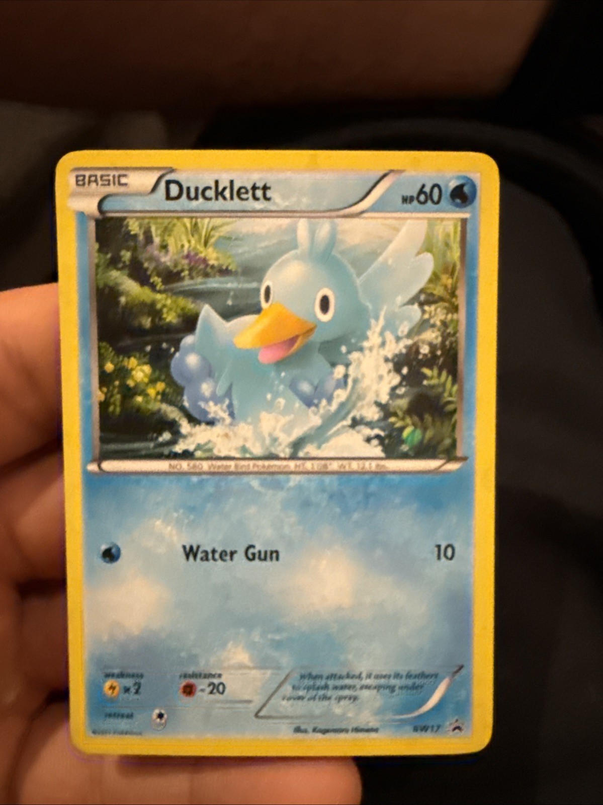Pokémon TCG Ducklett BW Black Star Promos BW17 Holo Promo