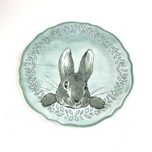 Pottery Barn Kids Peter Rabbit Plate Beatrix Potter Circle Plastic