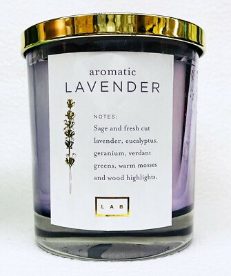 1 DW Home LAB AROMATIC LAVENDER Hand Poured Large Candle 13.3 oz ea