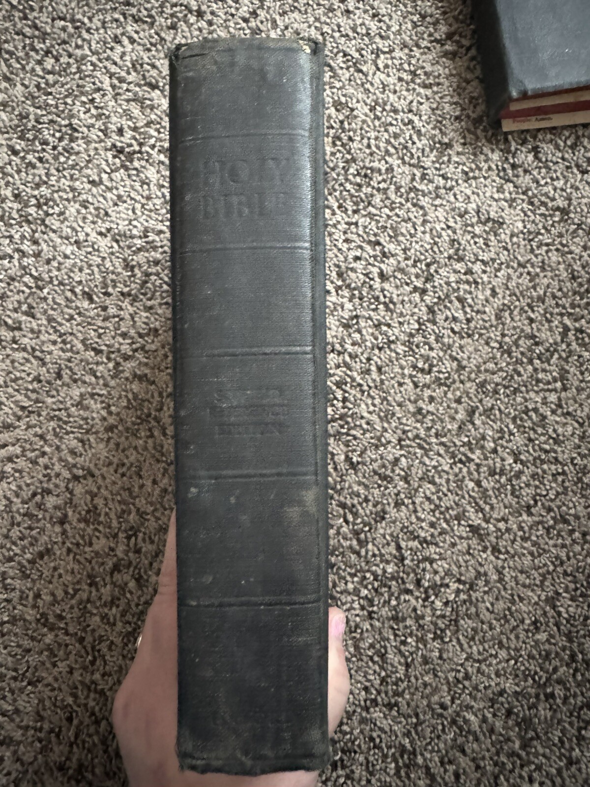 Picture 3 of 7