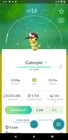 Shiny Caterpie wearing a Poké Ball hat - Tr-de - 20k stardust