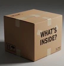 Mystery Box Big Money Maker!