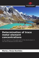 Determination Of Trace Metal Element Concentrations MaríA J. Borja Bastidas Buch