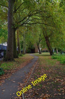 Foto 6x4 Fußweg & Bäume in St. James Gardens, Cardington Street, Camde c2014