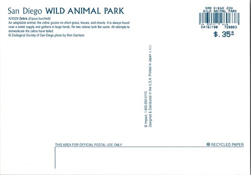 Postal Parque de Animales Salvajes Cebra San Diego Equus burchelli California - Imagen 2 de 2