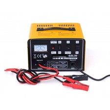CARICA BATTERIA 12-24V 30A AUTO MOTO CAMPER BARCA CARICABATTERIE 90-250Ah