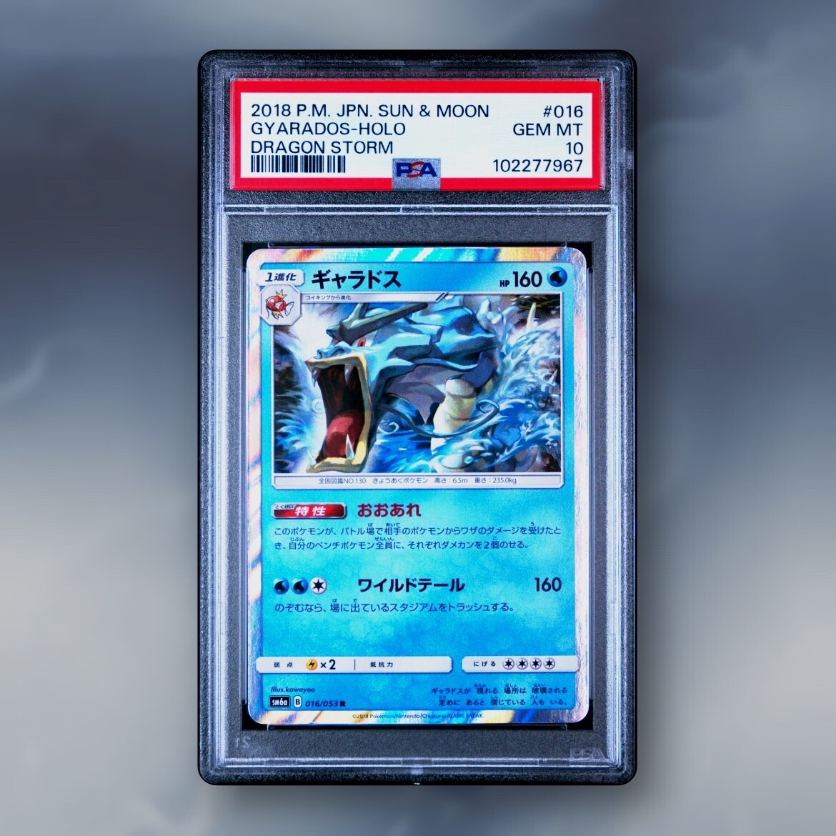 Gyarados - PSA 10 - Dragon Storm SM6a 016/053 Holo Rare kawayoo Pokemon Card