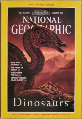 National Geographic Magazine: Lot of 12 1993