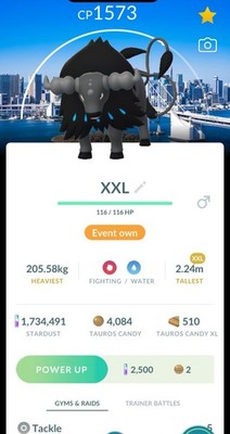 XXL Non Shiny Paldean Aqua Breed Tauros Tokyo Japan Go Fest Unregistered Ok
