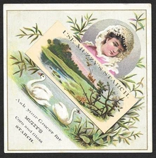 Victorian Trading Card - Muzzy Starch - "Lady with Lace Hat and Swans" (3I8)