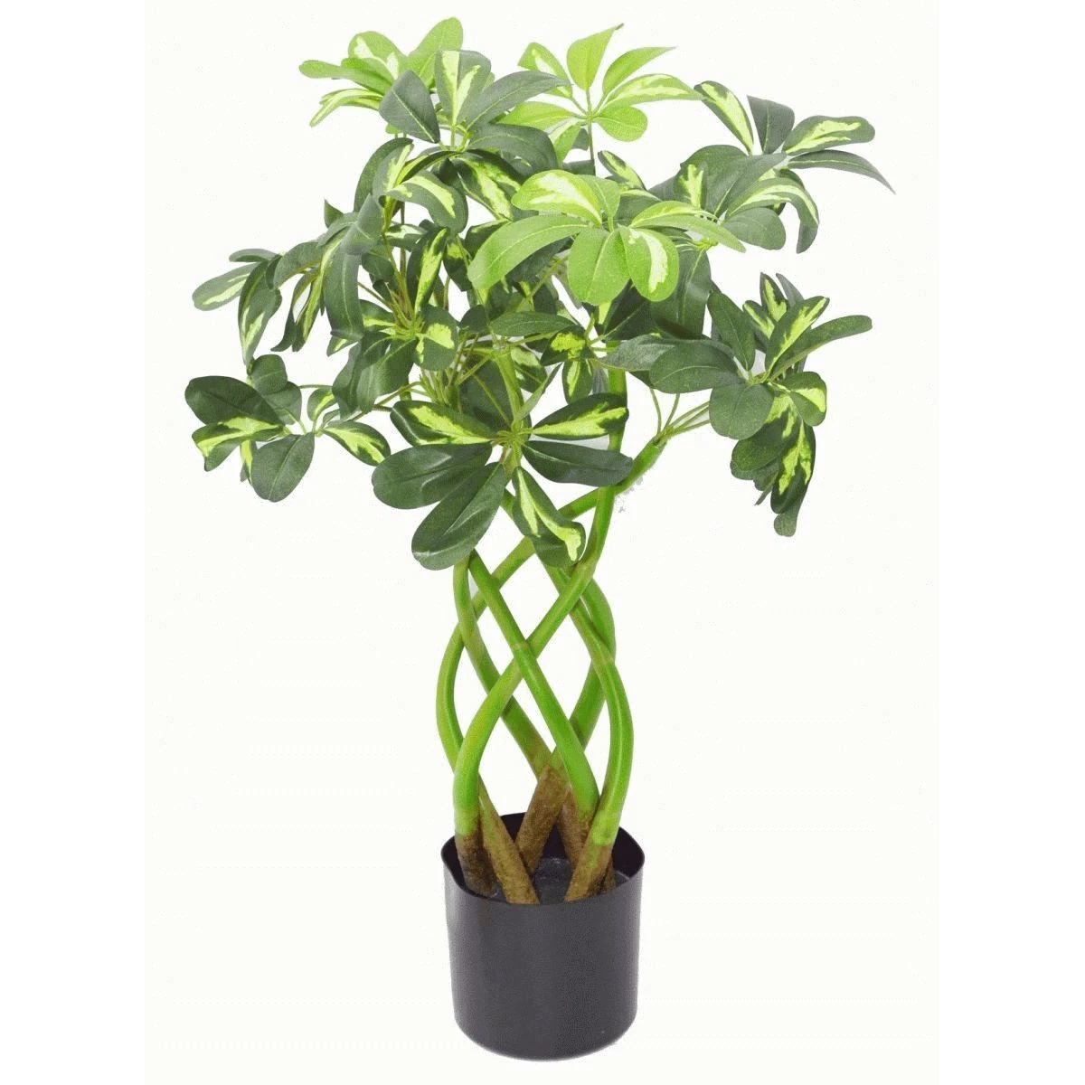 70cm Bonsai Twist - 7002