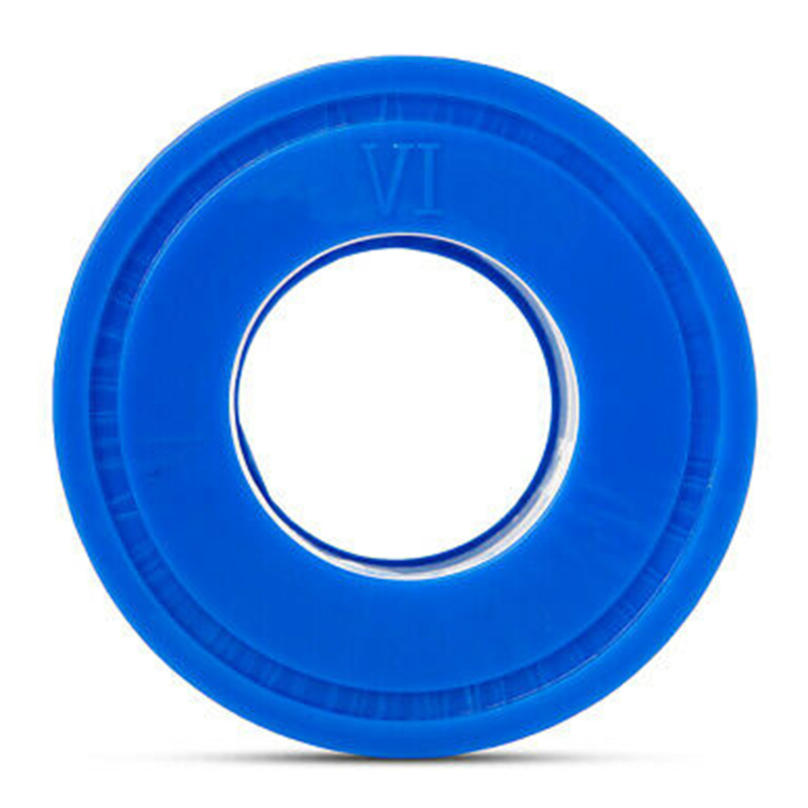 Bestway SaluSpa Type VI Inflatable Hot Tub Replacement Filter Cartridge ...