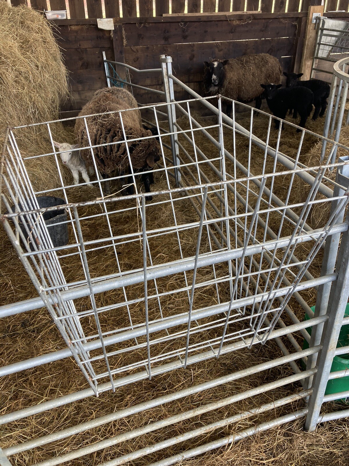 6 X Hurdle Hay Racks eBay