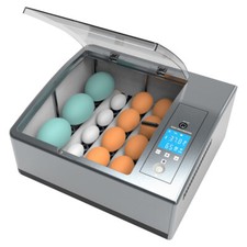 16 Chicken Egg Incubator Fit Hatching Eggs with Automatic Turner Temp Control