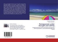 Pomegranate Under Drought And Salinity Naftali Lazarovitch