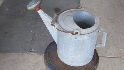 Vintage Galvanized Metal #10 Green Sprinkle Head Watering Can Farmhouse Garden
