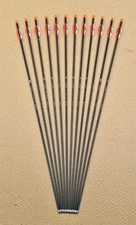 Target Archery Arrows Easton ACG Arrows 1 Doz.