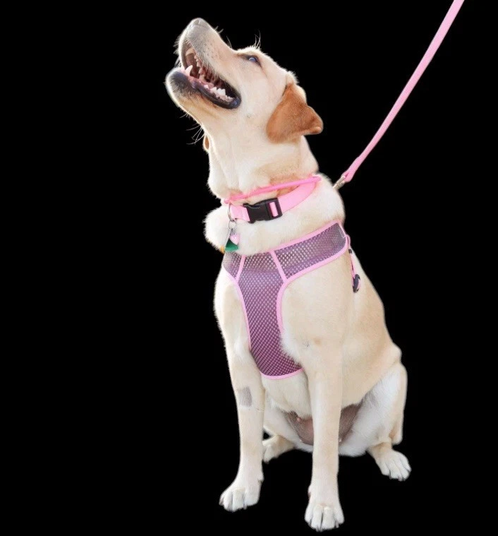 Arnés ajustable Coastal Pet Comfort suave deportivo envolvente grande gris Foto 4 de 4