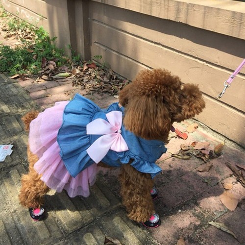 Puppy Dog Clothes Female Dog Cat Dress Spring Summer Princess Dress Bowknot Pet - Picture 5 of 26