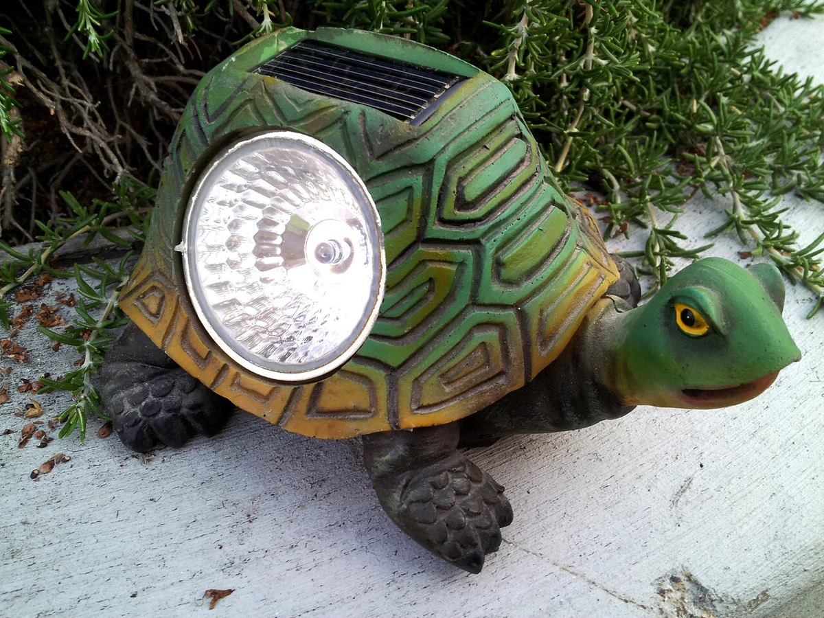 Turtle solar deals light