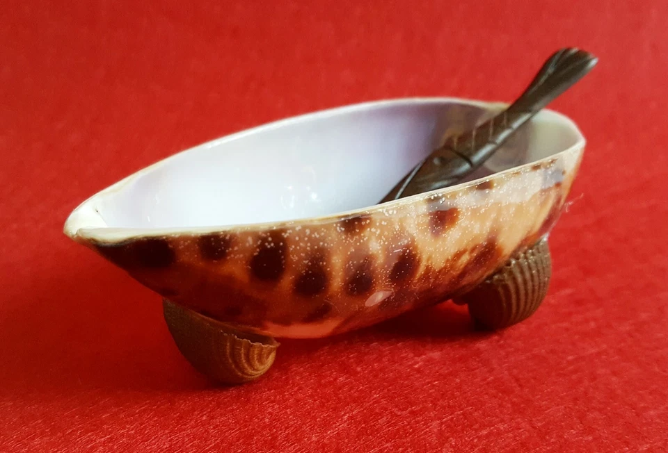 套装鲍鱼壳碗托盘拖把勺子木柄供应晚宴复古 — 第 2/4 张图片