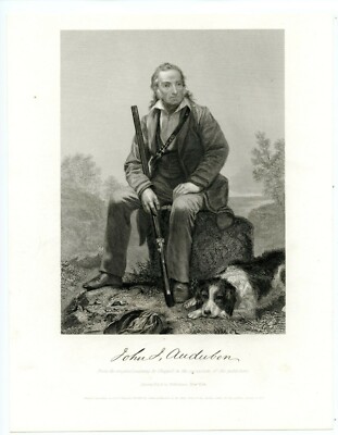 フー様 JOHN JAMES AUDUBON, Painter/Ornithologist/1861 Birds of America
