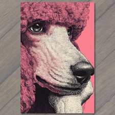 STICKER Pink Poodle Thinking Pose Retro Etching Detailed Dog Black Line Pop