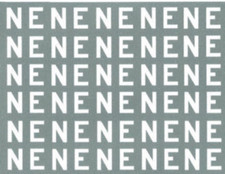 Modelmaster NE308 LNER Large 16 Wagon Lettering 1923-1936 OO Gauge Transfers