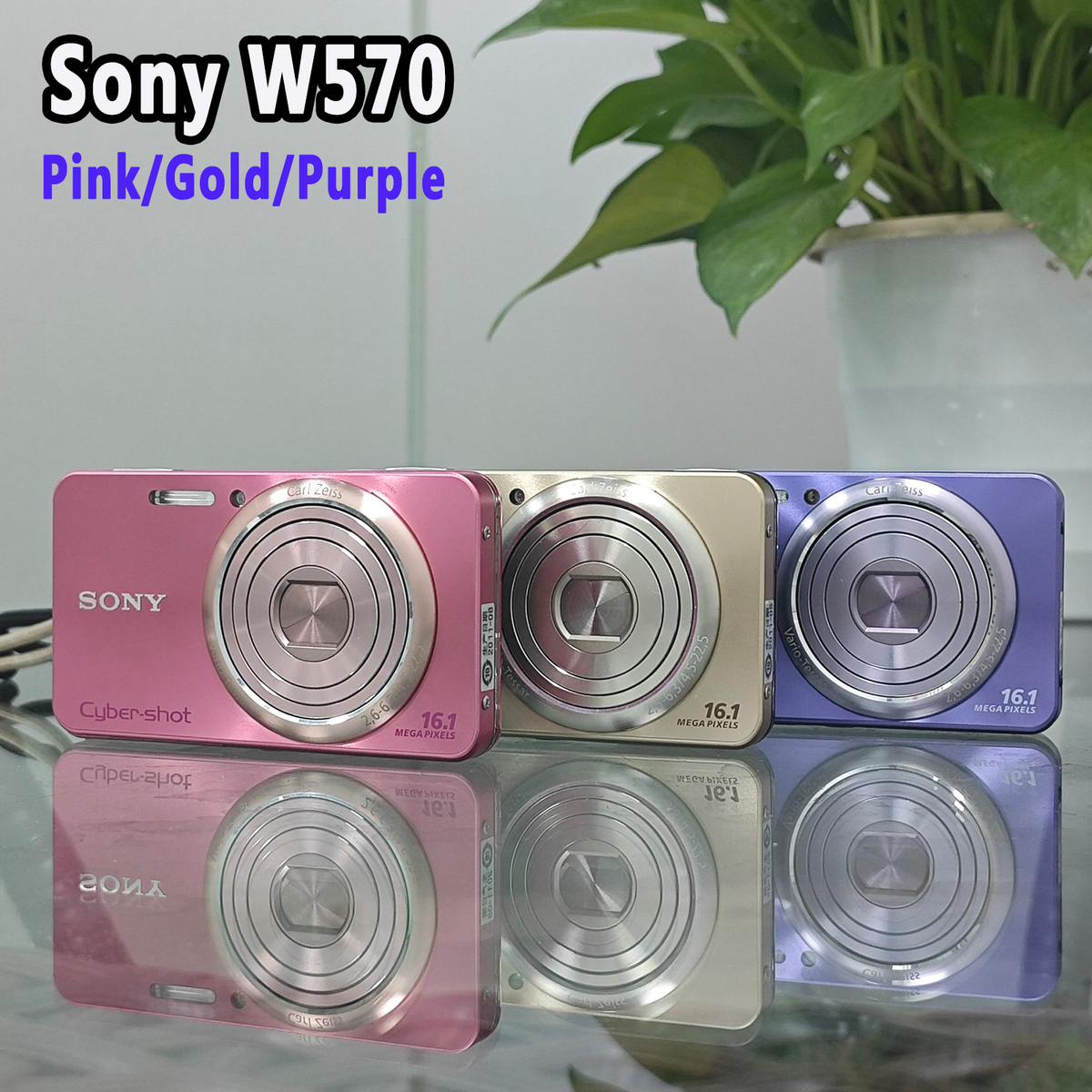 SONY Cyber-Shot DSC-W570 PURPLE 16.1 MP Digital Camera With