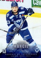 2024/25 Sherbrooke Phoenix - HUGO MARCIL