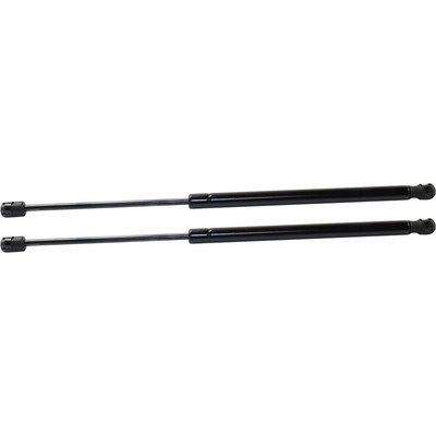 Lift Support For 2009-2016 Dodge Journey Driver and Passenger Side