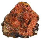 Crocoite Crystals. Adelaide Mine. Dundas. Tasmania Australia (EA9997)