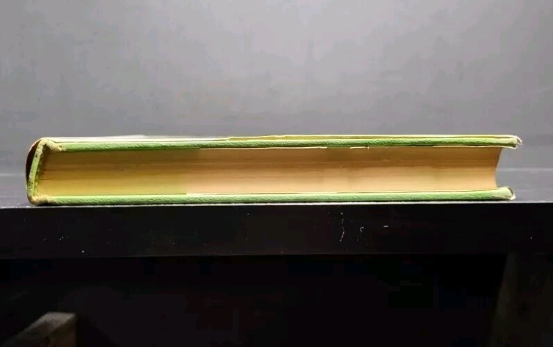 Picture 4 of 16