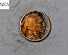 1919 Buffalo Nickel ~ Very Fine VF (rainbow toned) ~ ZB116