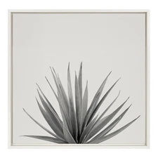 Sylvie Haze Agave Succulent Framed Canvas Wall Art by The Creative Bunch Stud...