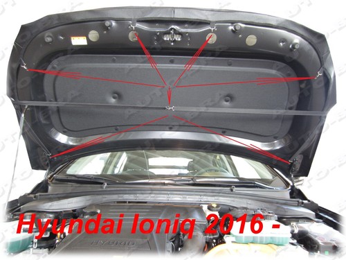 SUJETADOR CAPÓ ASPECTO CARBONO apto para Hyundai IONIQ 2016-2021 PROTECTOR STONEGUARD TUNING - Imagen 3 de 7