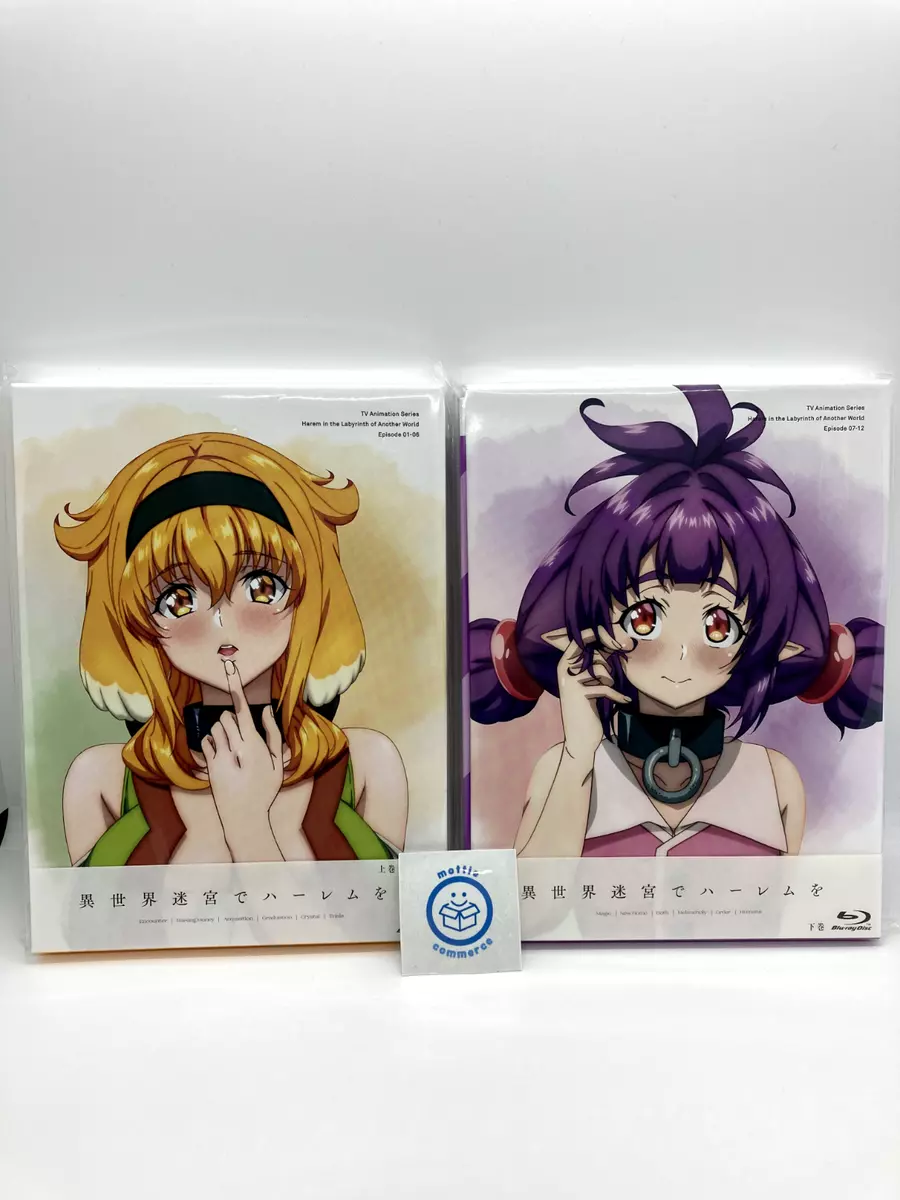 Harem in the Labyrinth of Another World Blu-ray Box Vol.1 & 2