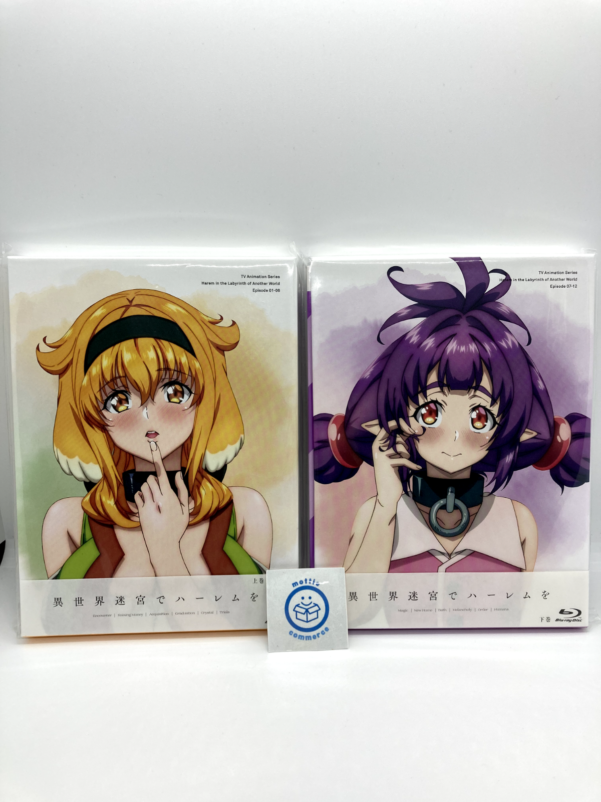 PSL Isekai Meikyuu de Harem wo Blu-ray BOX Volume 1 w/ 1/7 Figure Limited  Japan