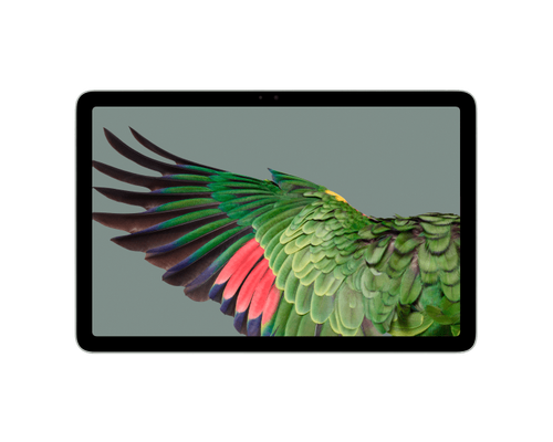 DeGoogled Pixel Tablet | Privacy Tablet | CalyxOS | GrapheneOS | DeGoogled - 第 1/8 張圖片