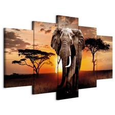 AFRIKA ELEFANT NATUR TIERE Wandbilder xxl Bilder Vlies Leinwand g-C-0054-b-n