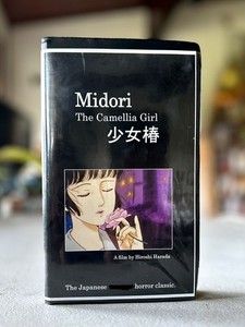 Midori | eBay