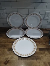 Vintage Set of 5 Corelle Butterfly Gold 10.25" Dinner Plates