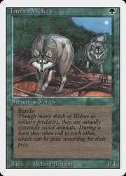 Timber Wolves (Revised Edition) - MTG Rare Creature