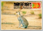 3895d Chinese Lunar New Year Rabbit FDC Maxi Card