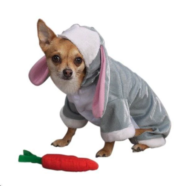 Extra small dog 2025 halloween costumes