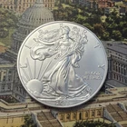 2013-W American Silver Eagle 🇺🇸