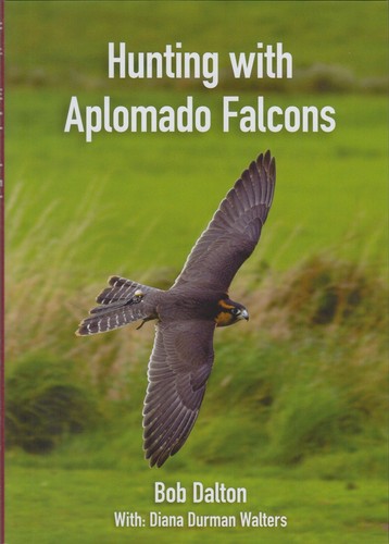DALTON BOB FALCONRY & HAWKING BOOK HUNTING WITH APLOMADO FALCONS 2nd edition NEW - Picture 2 of 2