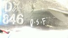 Bild 4 von 7