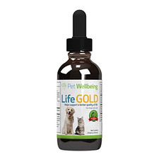 mushroom immune gold for dogs